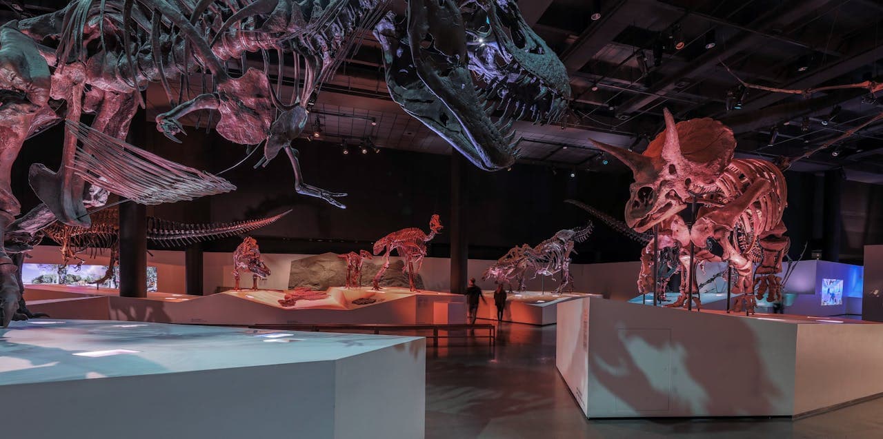 Houston Museum of Natural Science Ticket - main image