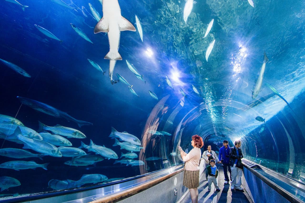 San Francisco CityPASS: Admission to 4 Top Attractions - image 3