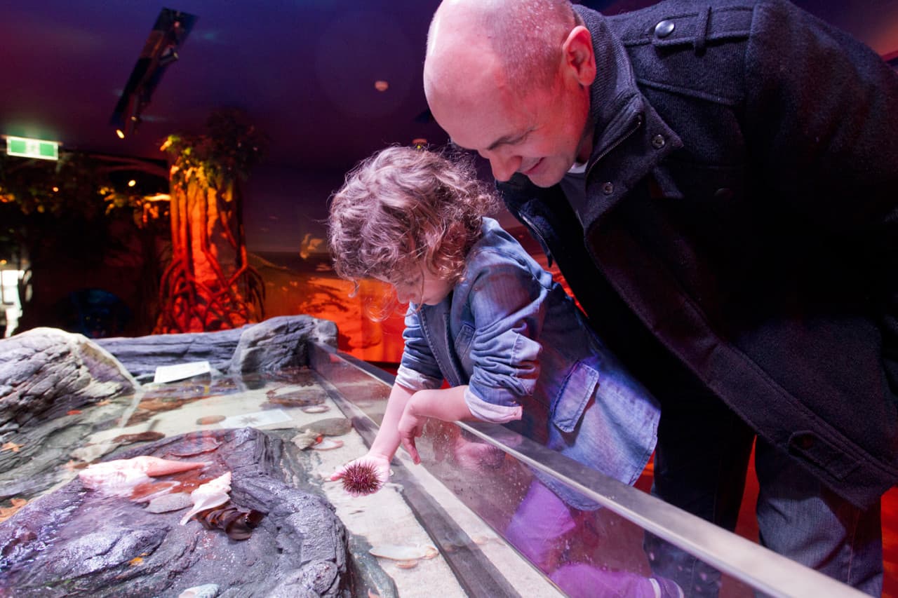 SEA LIFE Melbourne Aquarium Direct Entry Ticket - image 8