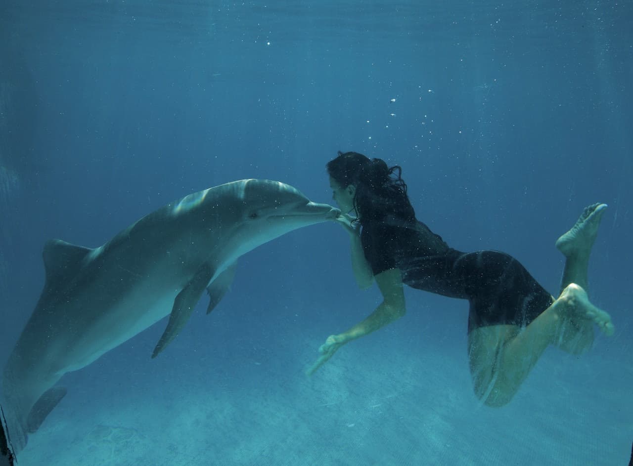 Zoomarine - image 9