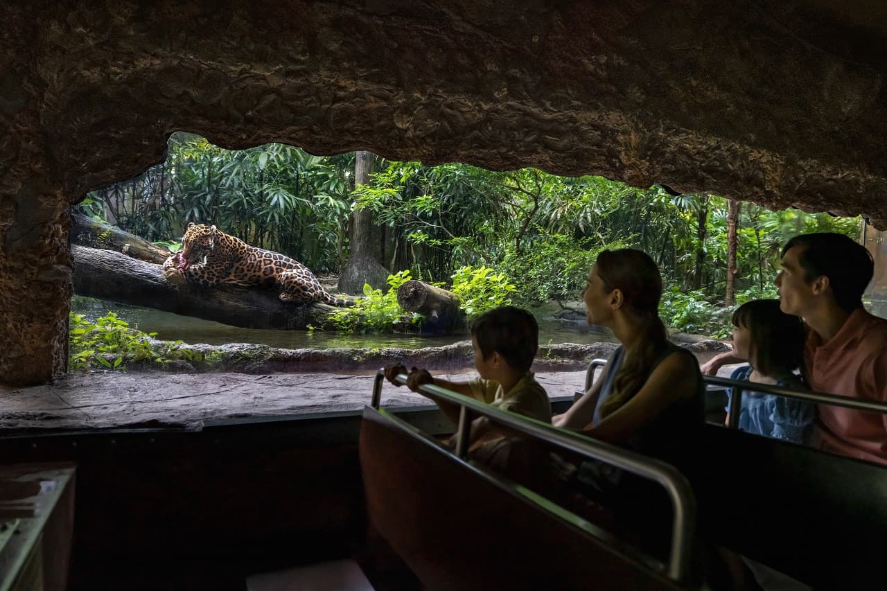 COMBO: Singapore Zoo + River Wonders Ticket - image 13