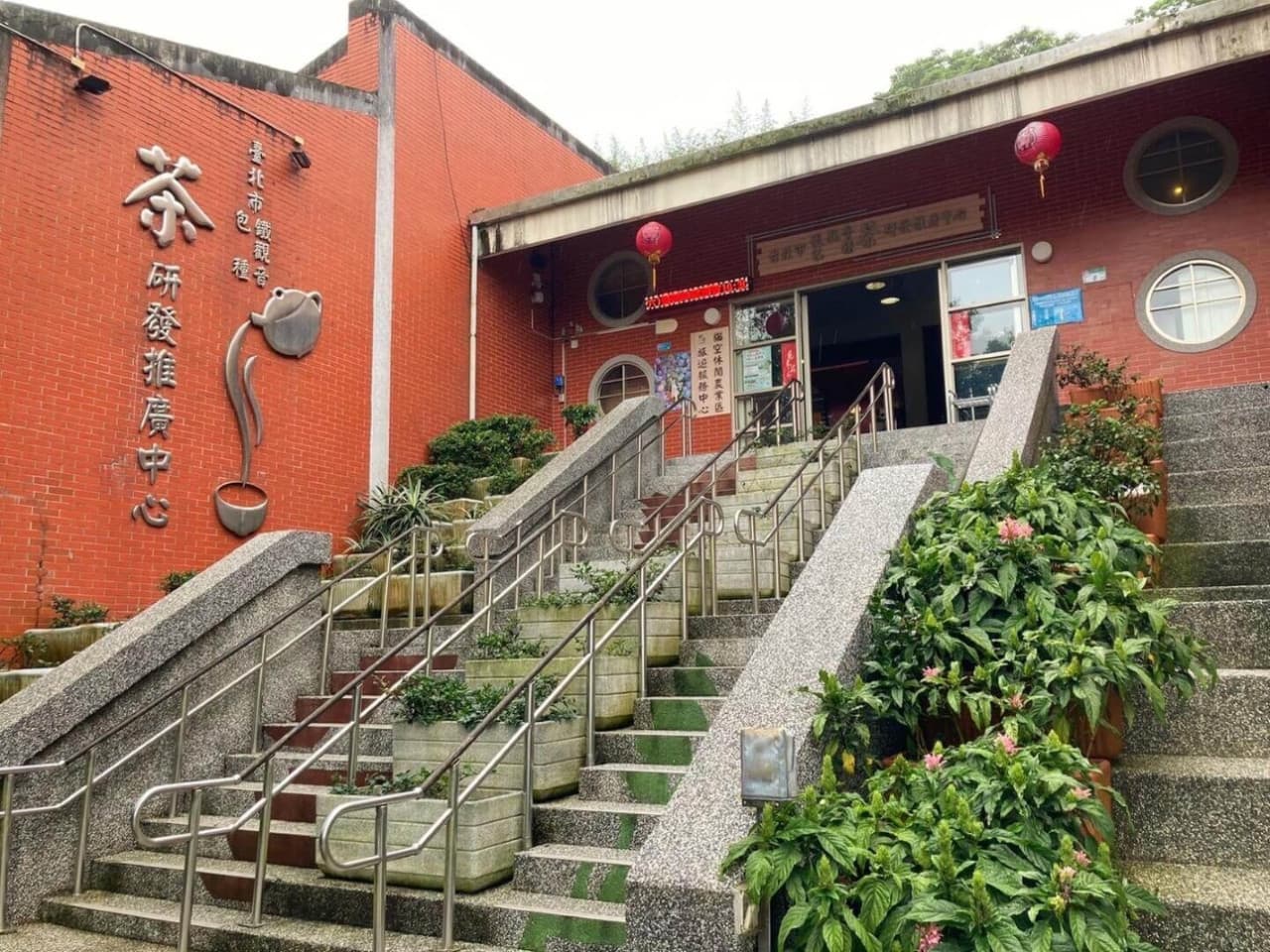 Pinglin Tea Culture and Maokong Full-Day Tour from Taipei - image 10