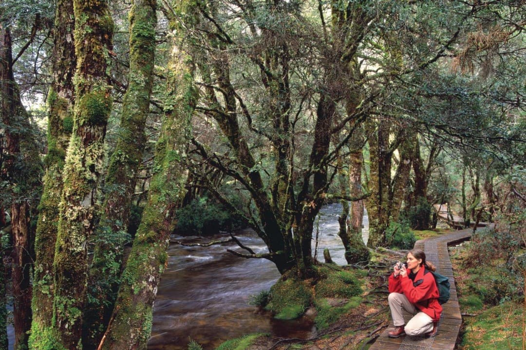 Cradle Mountain National Park - image 6