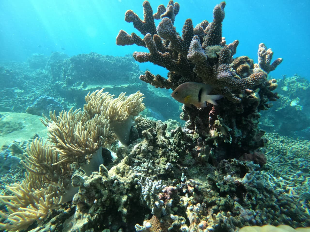 Nha Trang Island Hopping Tour - main image