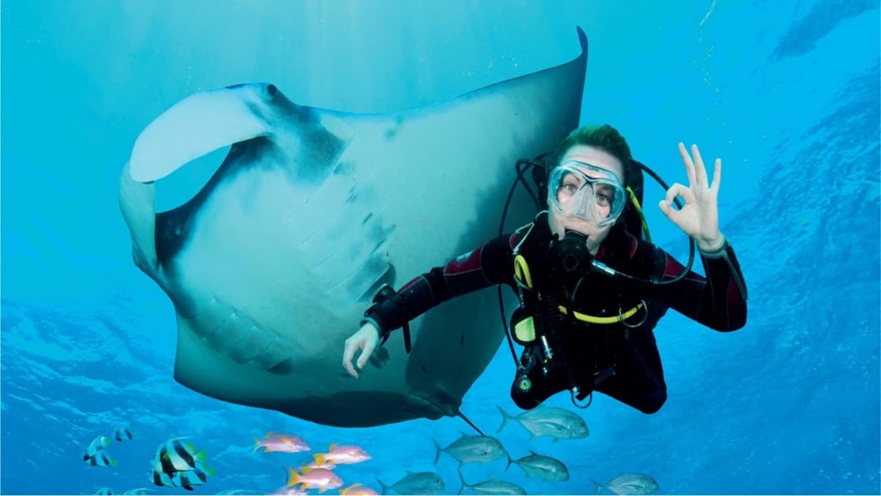 Ultimate Marine Life Experience at Adventure Cove Waterpark - image 3