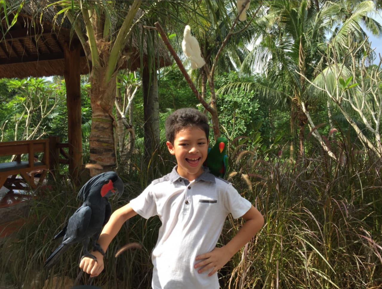 Lombok Wildlife Park: Intimate Wildlife Experience - image 6