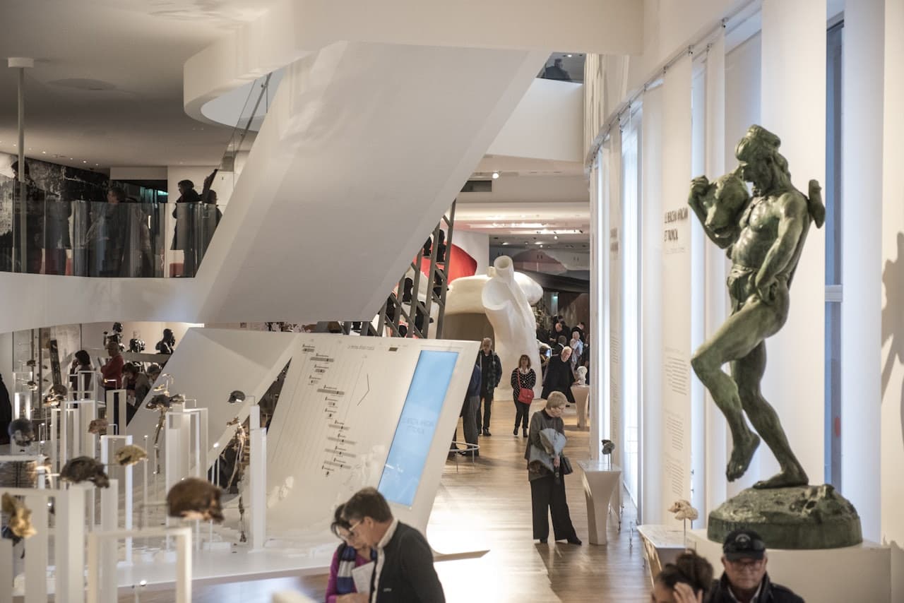 Musée de l'Homme - image 3