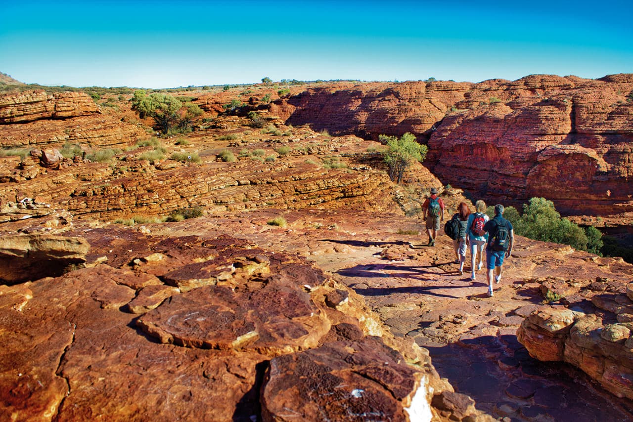 Alice Springs Reptile Centre and City Tour - image 4