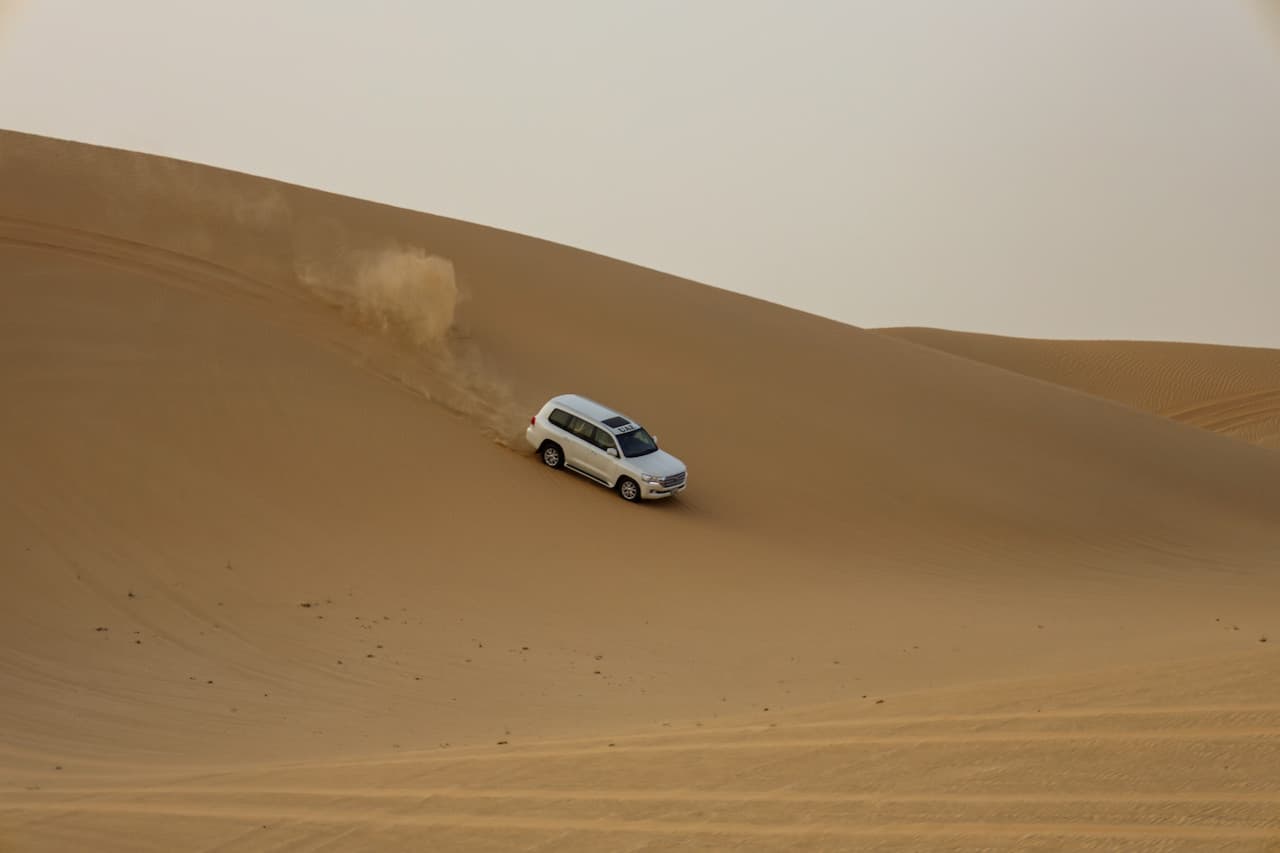 Desert Safari Tour from Abu Dhabi - image 2