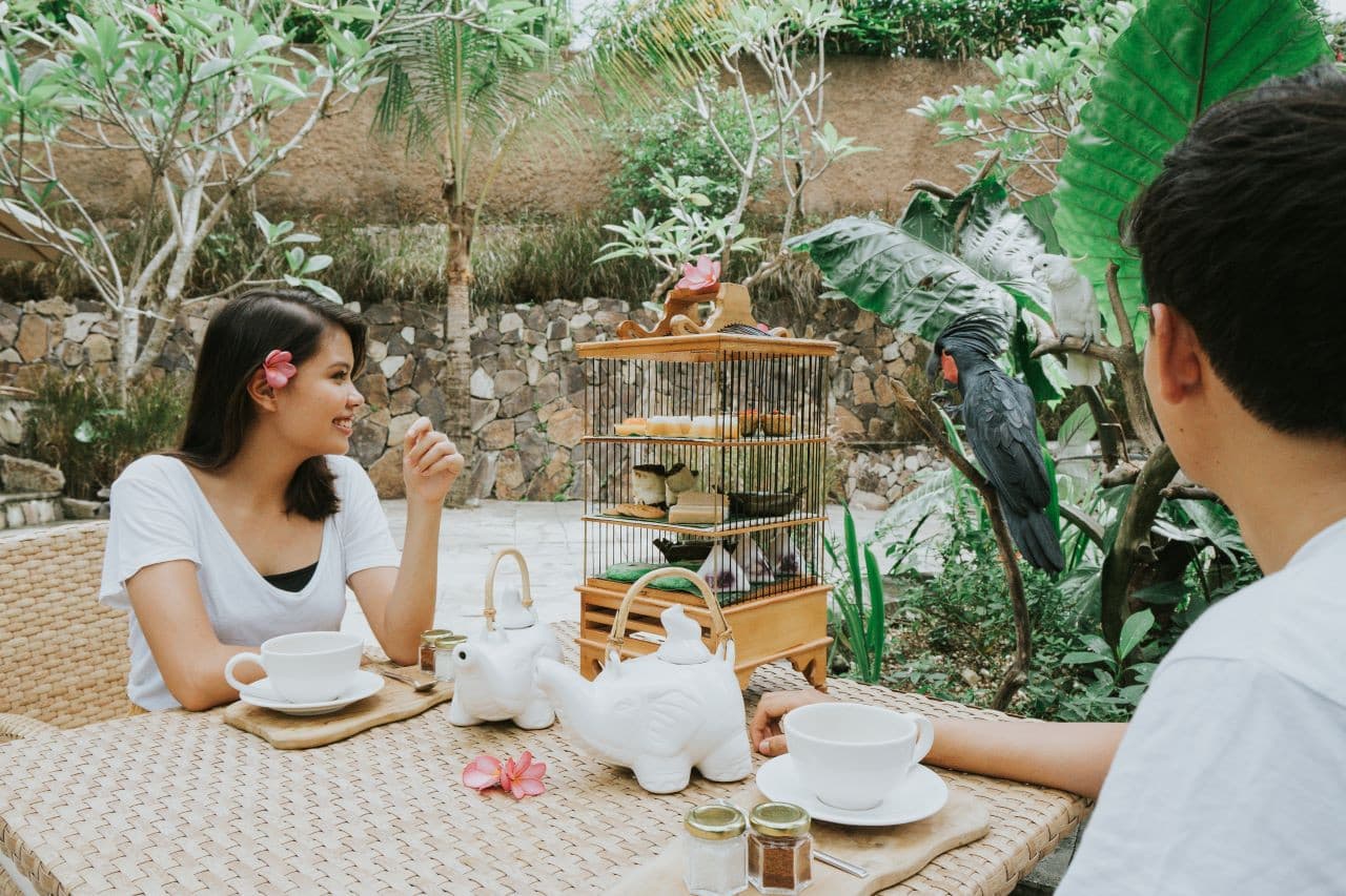 Lombok Wildlife Park Orangutan Interaction - image 5