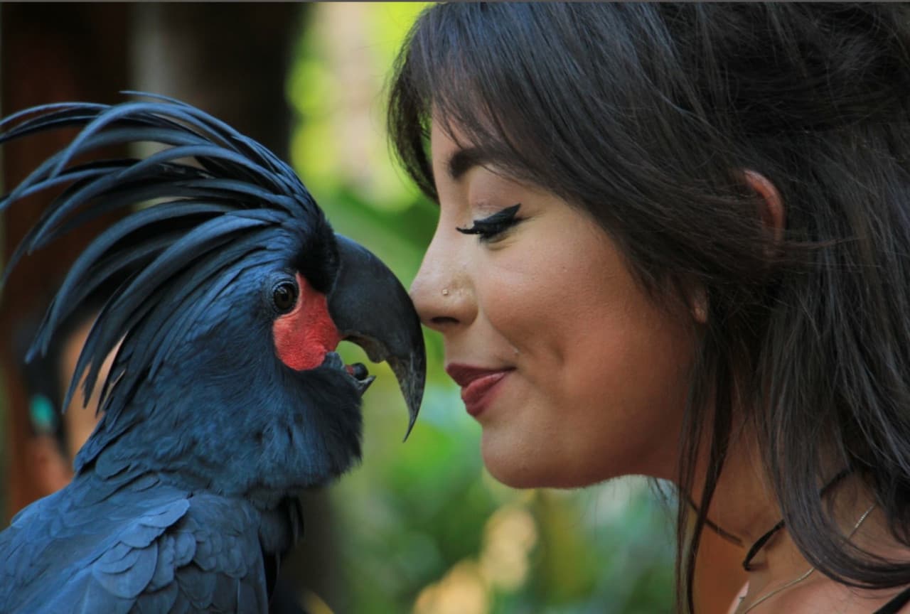 Lombok Wildlife Park - image 2