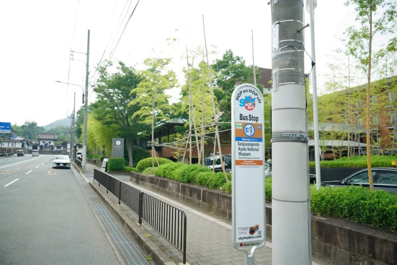 Kyoto Sky Hop-on Hop-off Sightseeing Bus - image 9