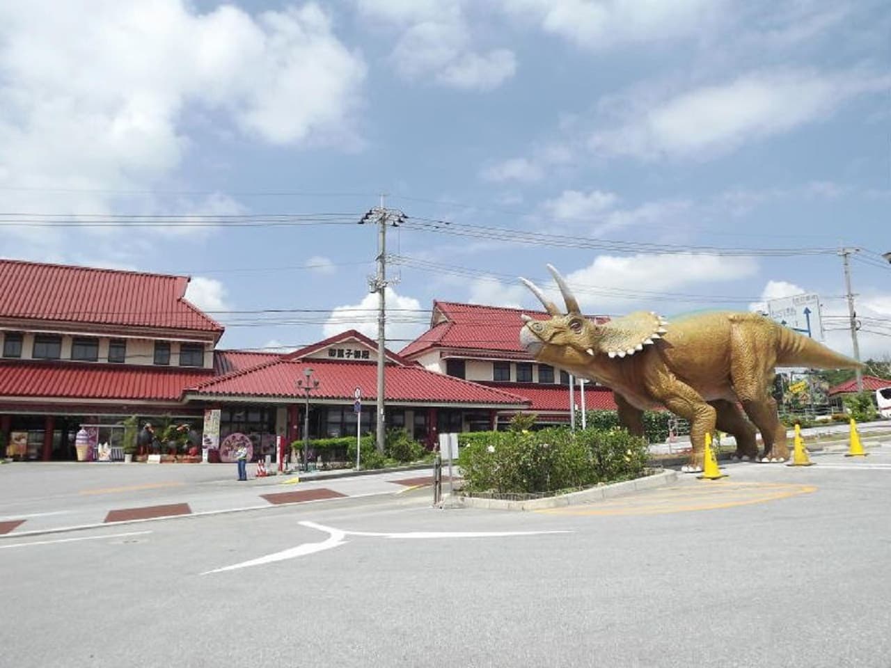 Okinawa Churaumi TokuToku 5 Pass - image 15