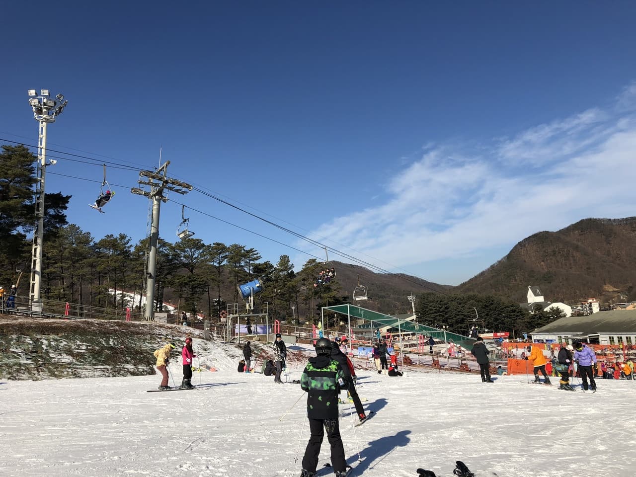 Jisan Forest Ski Resort Full-Day Tour from Seoul - image 7