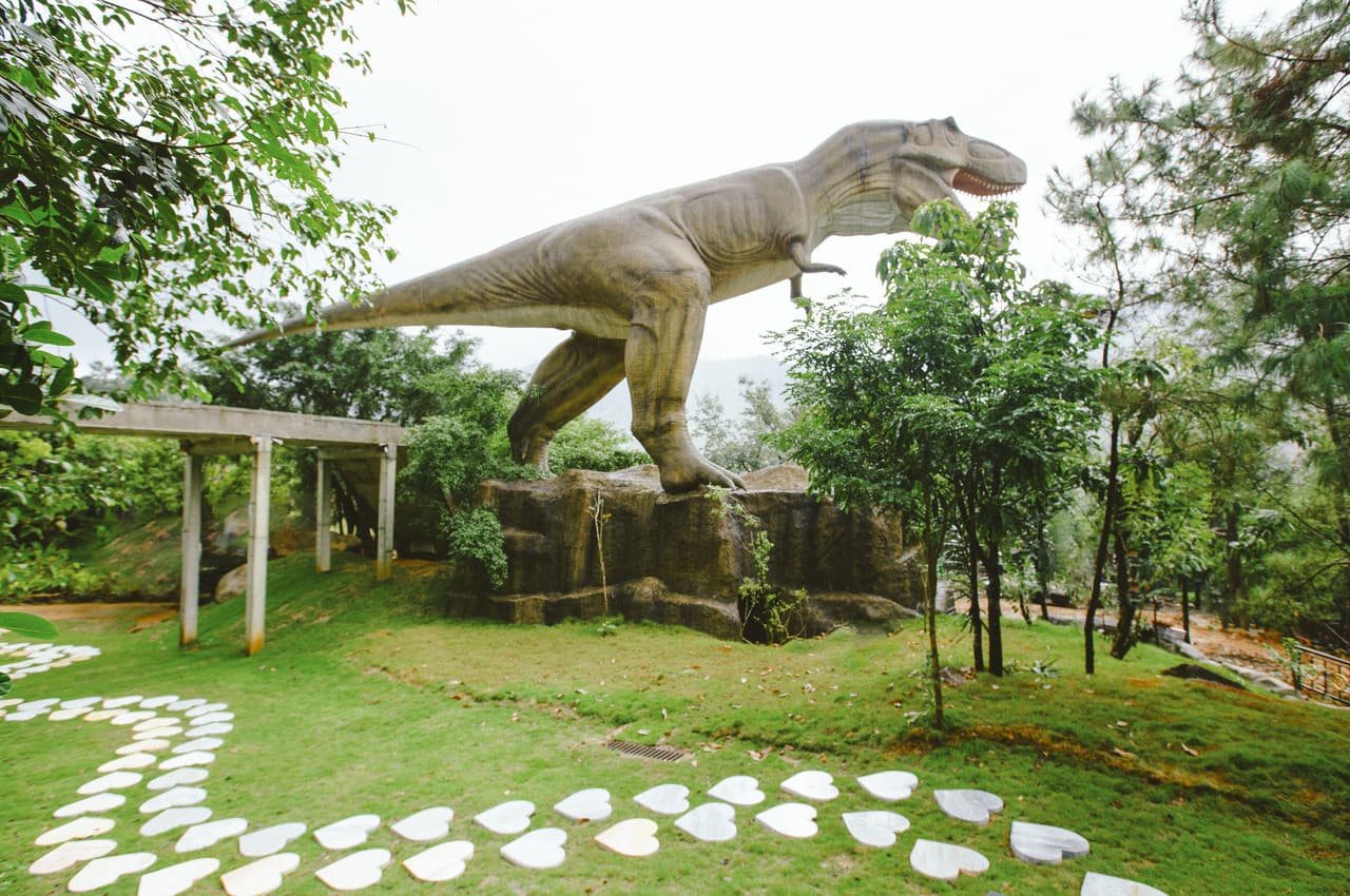 Nui Than Tai Hot Springs Park - image 18