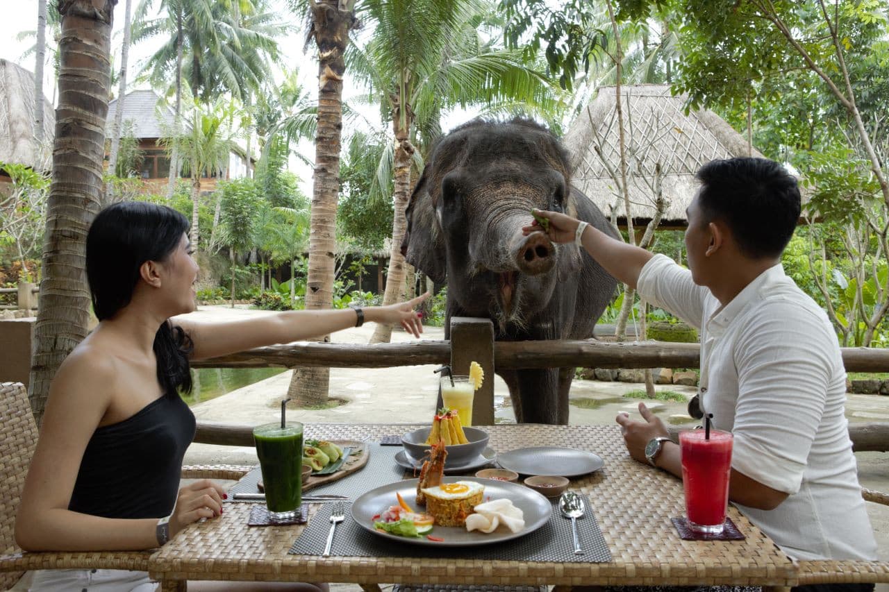Lombok Wildlife Park: Intimate Wildlife Experience - image 7