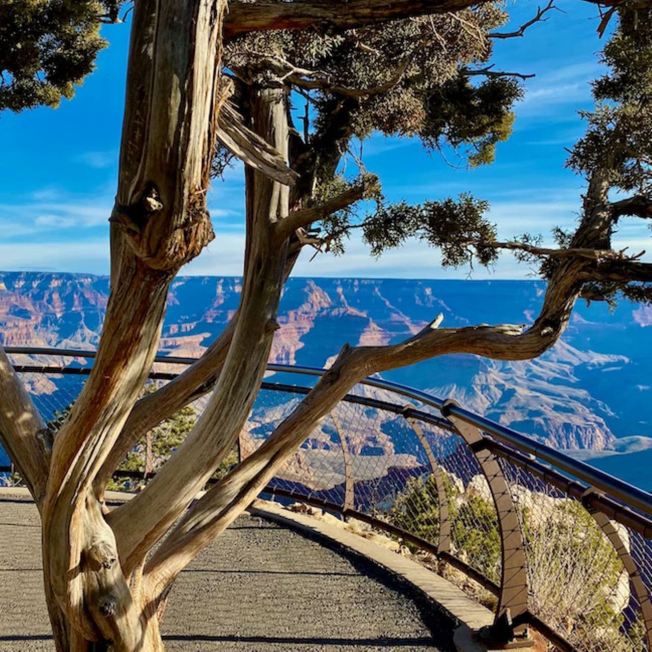 Grand Canyon National Park Tour from Las Vegas - image 3
