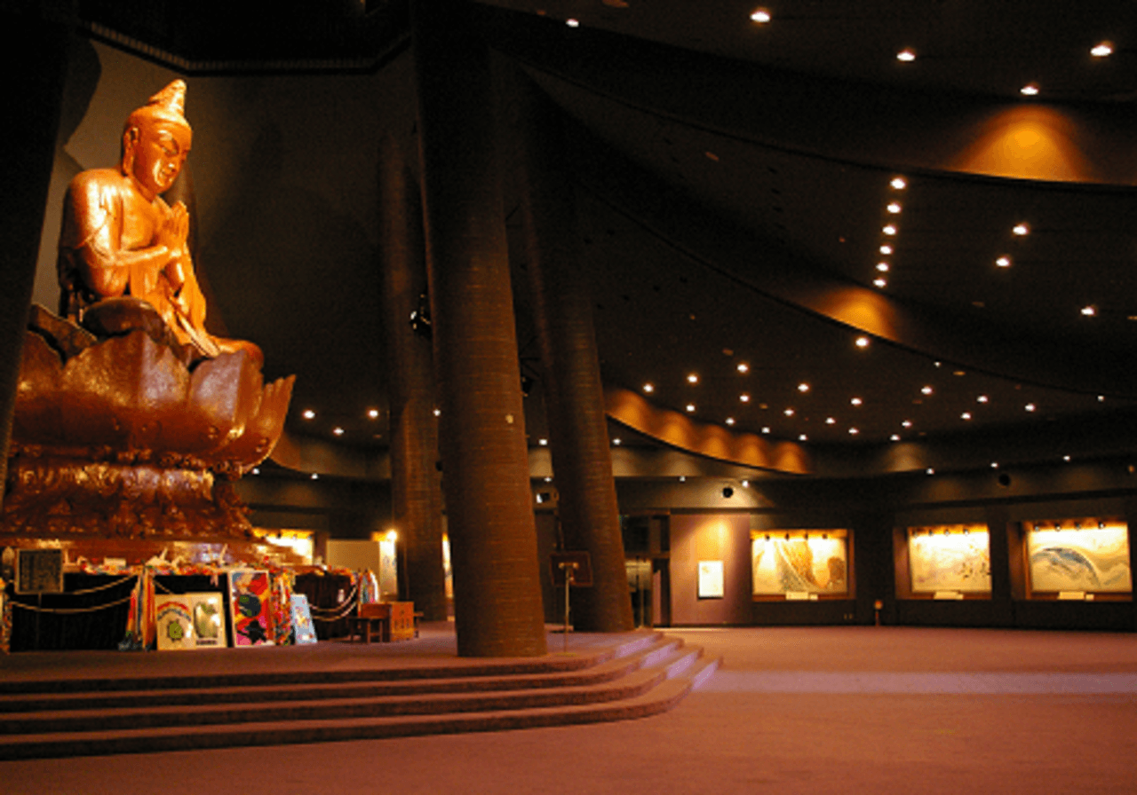 Okinawa Churaumi TokuToku 5 Pass - image 14