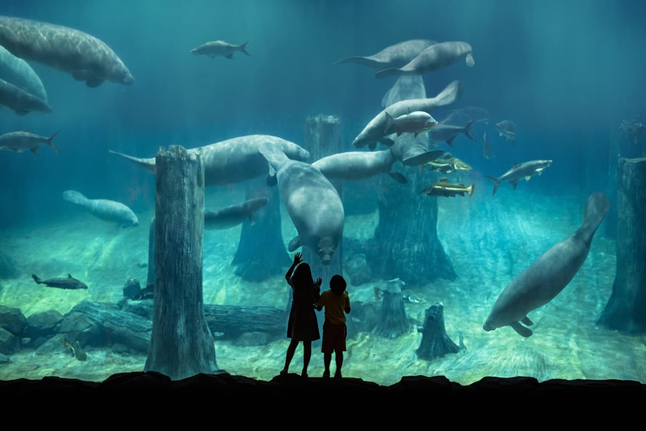 COMBO: Singapore Zoo + River Wonders Ticket - image 10