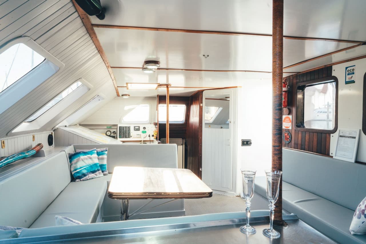 Tongarra Day Sailing Tour - image 11