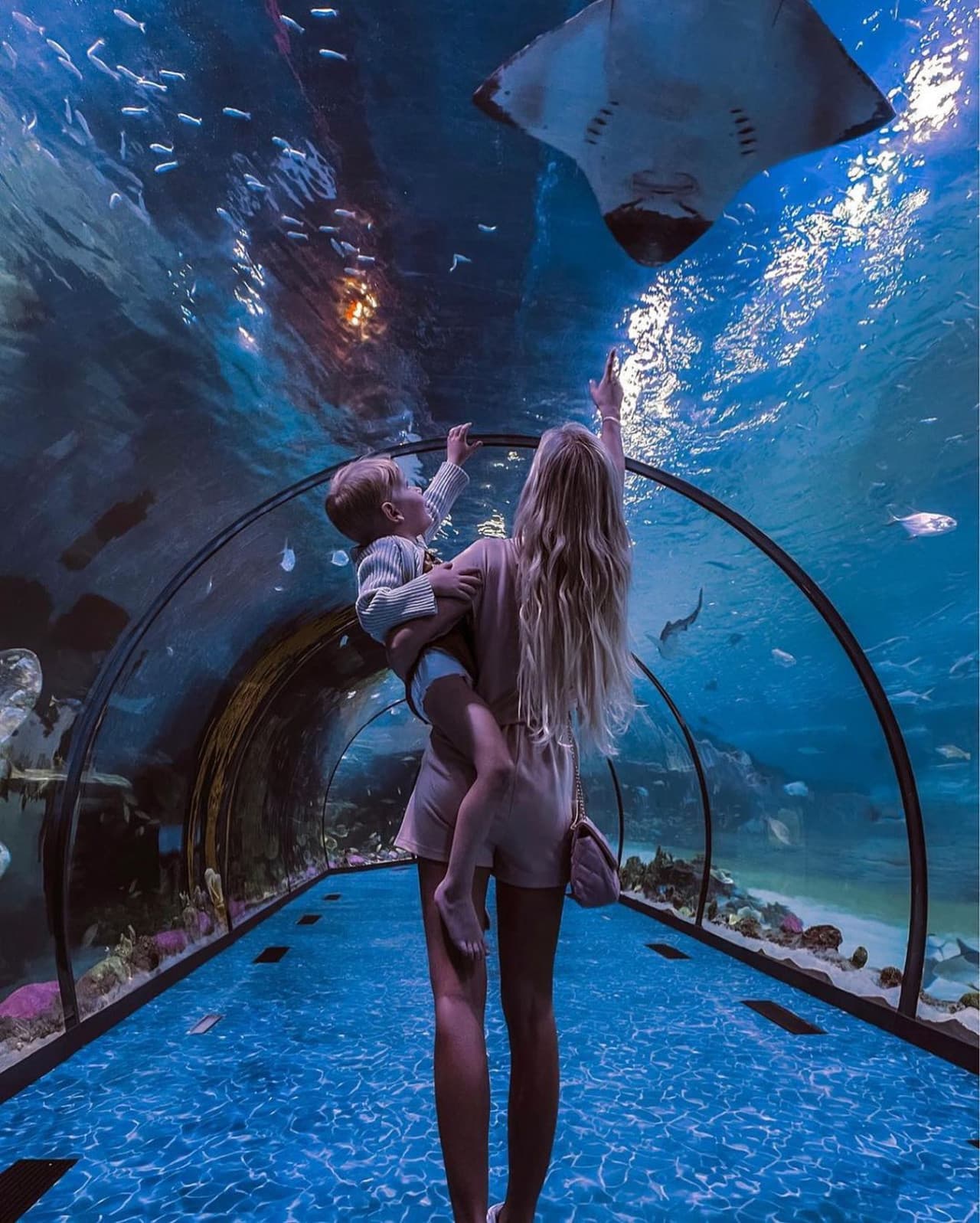 The National Aquarium Abu Dhabi Ticket - image 15