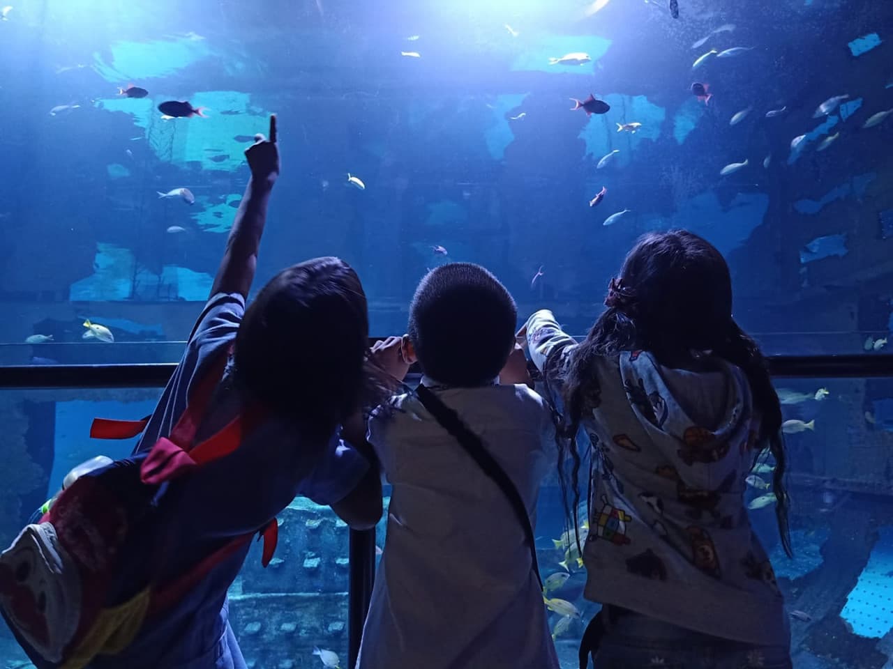 Aquaria Phuket - main image