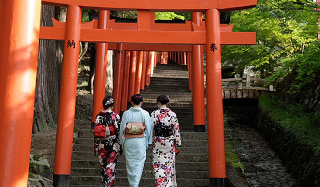 JR Kansai WIDE Area Pass - image 5