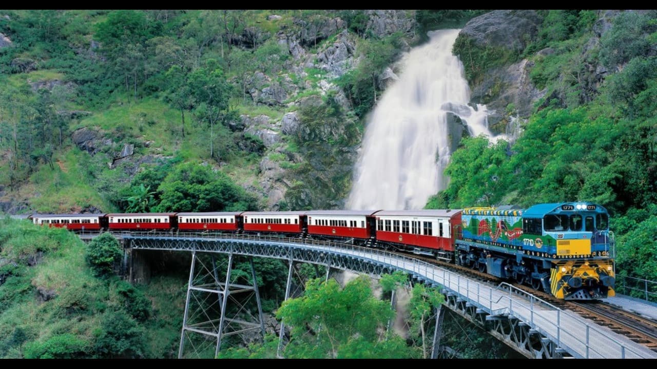 Hartley's Crocodile Adventures and Kuranda Tour from Port Douglas - image 3