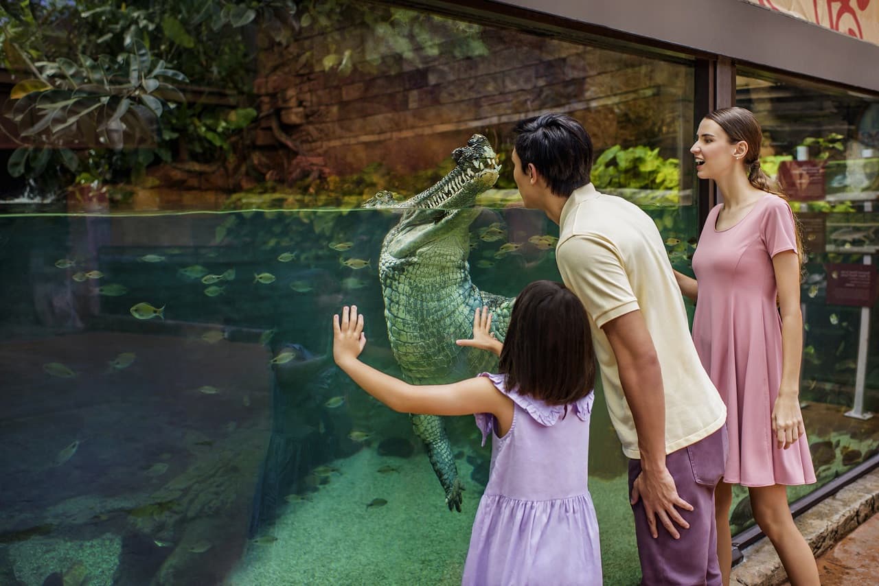 River Wonders Singapore Ticket - image 6