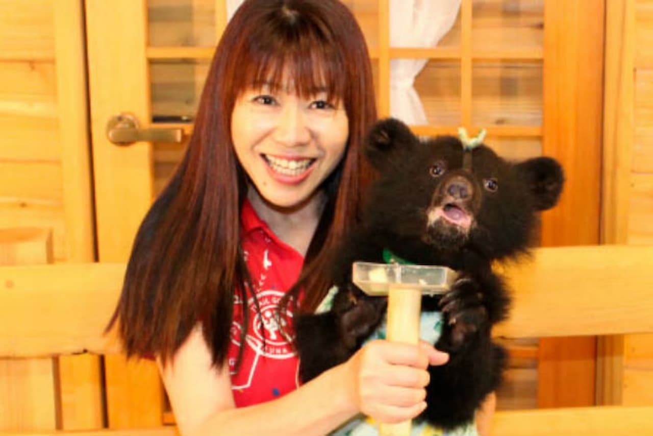 Gifu Okuhida Bears Park Ticket - image 7