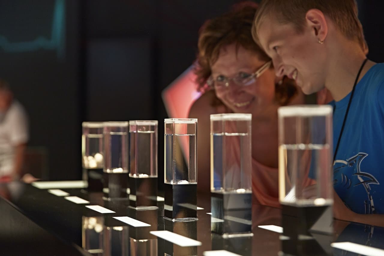 BODY WORLDS Berlin - image 4
