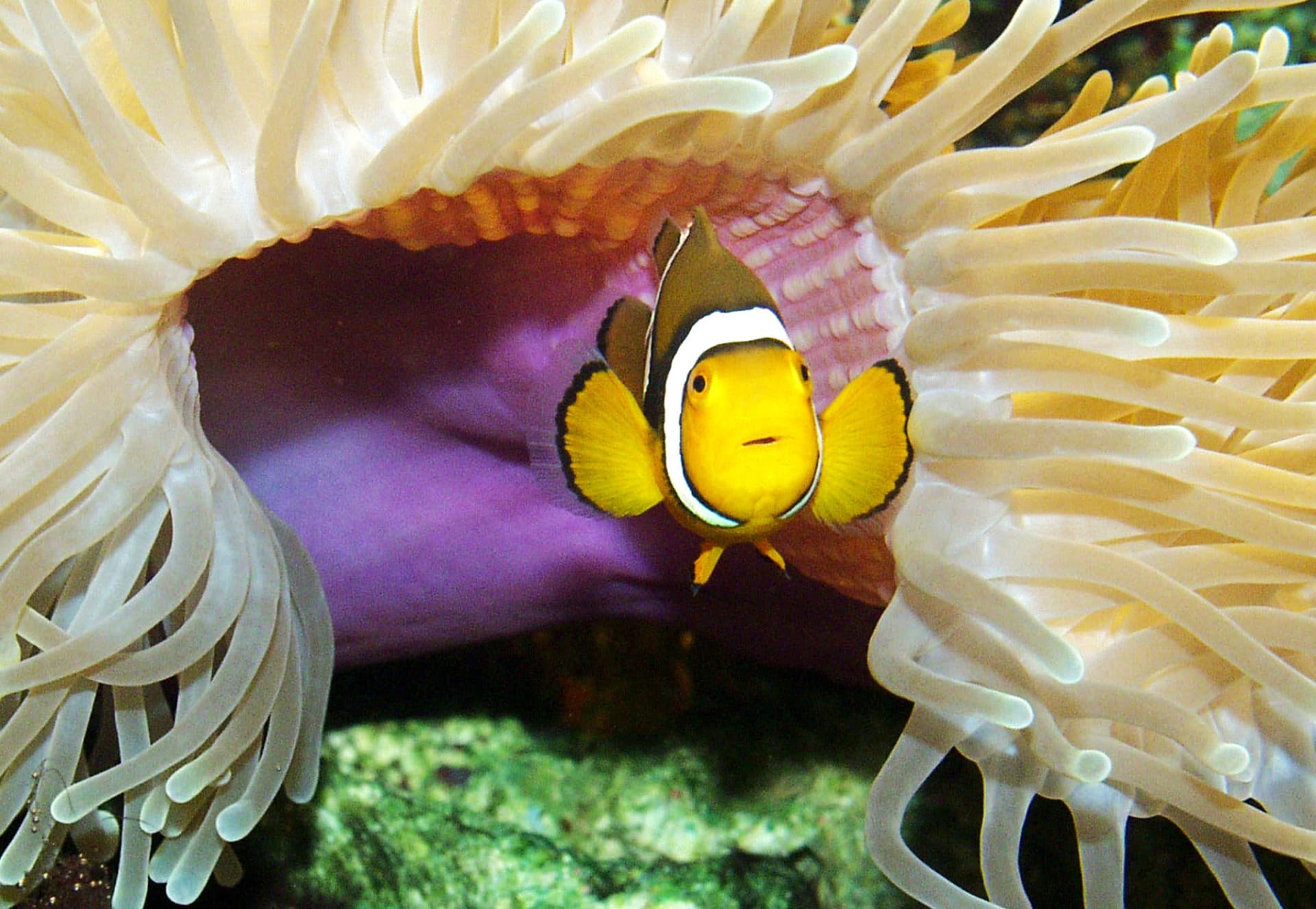 SEA LIFE Timmendorfer Strand Aquarium Ticket - image 12