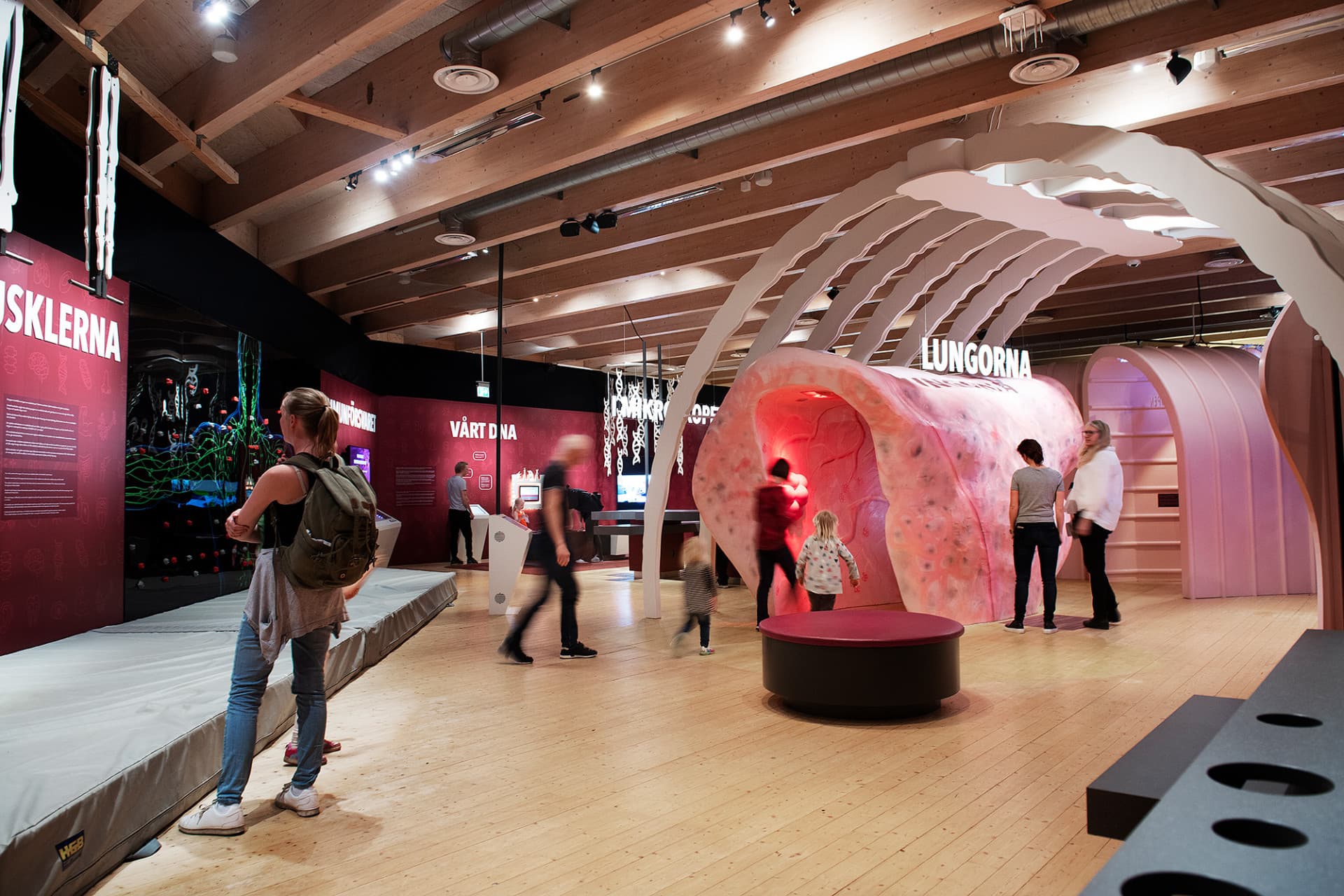 Go City Gothenburg Essentials Pass: 3 Attractions - image 2