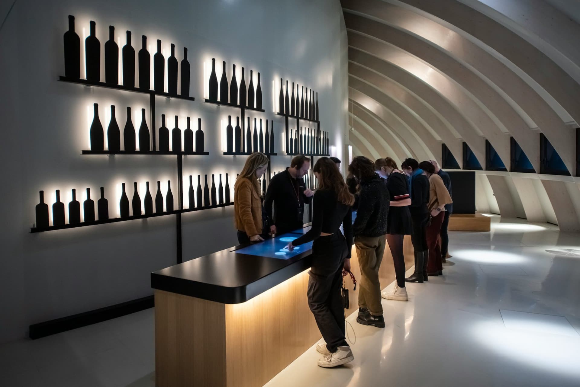 La Cite du Vin: Permanent Exhibition + Belvedere - image 3