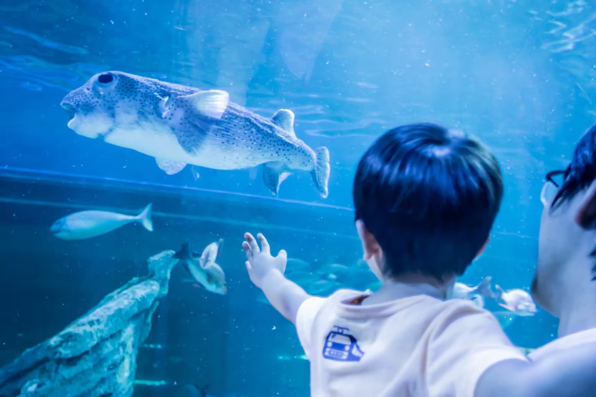 Shinagawa Aquarium Ticket - main image