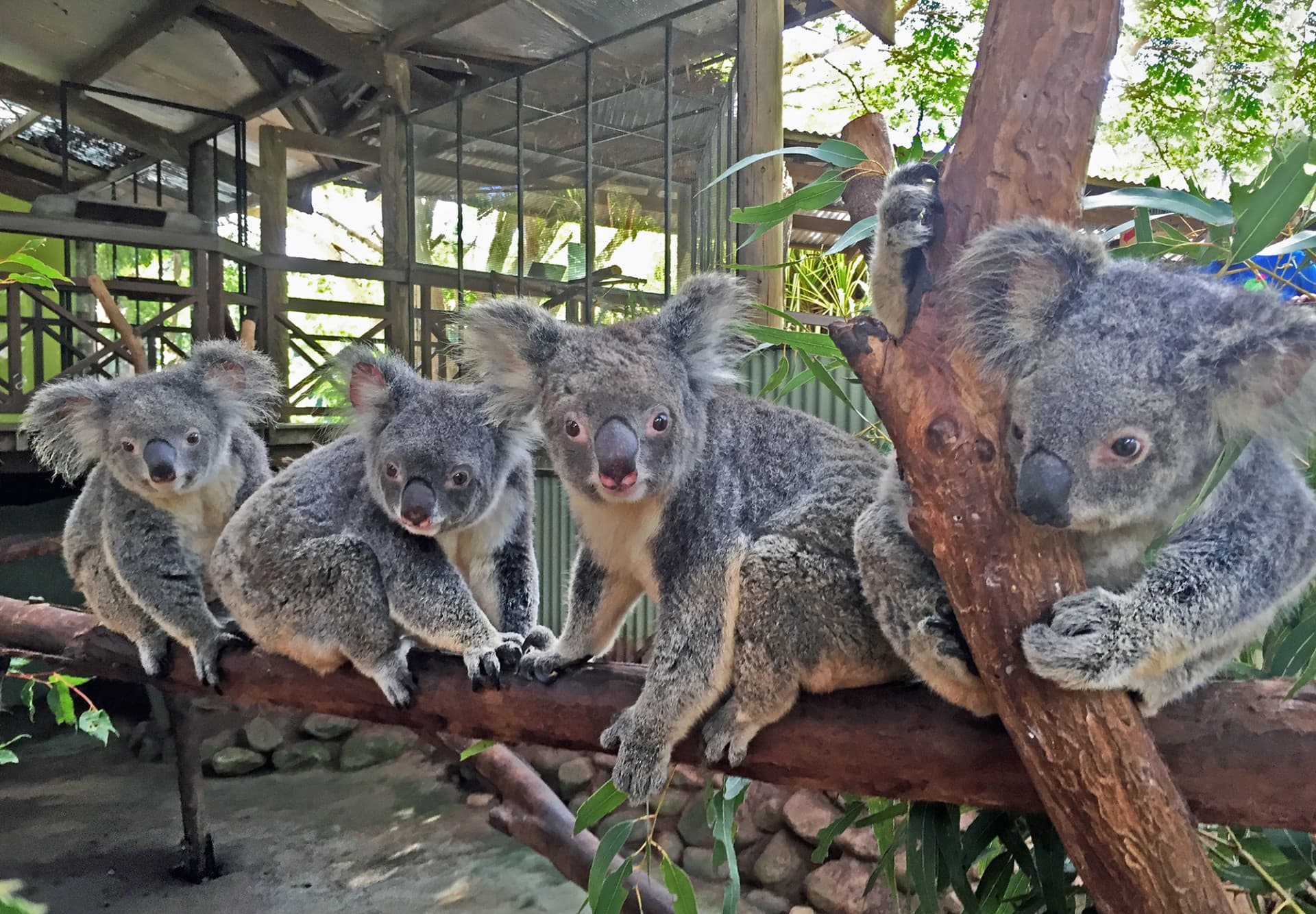 Rainforestation Nature Park Experiences - image 3
