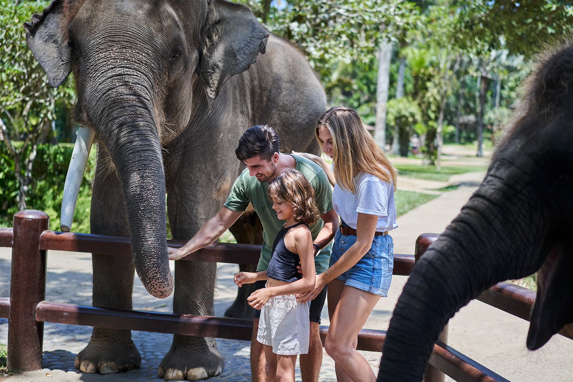 Mason Elephant Park Bali by Mason Adventures (Formerly known as Elephant Safari Park) - image 4