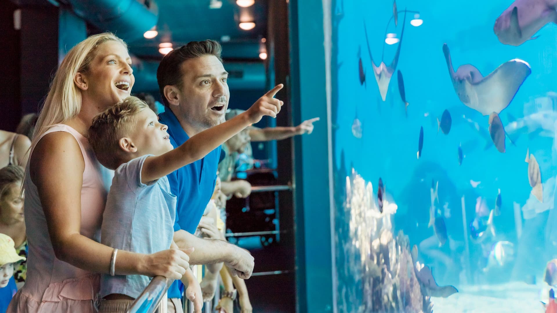 Sea World Gold Coast Ticket - image 3