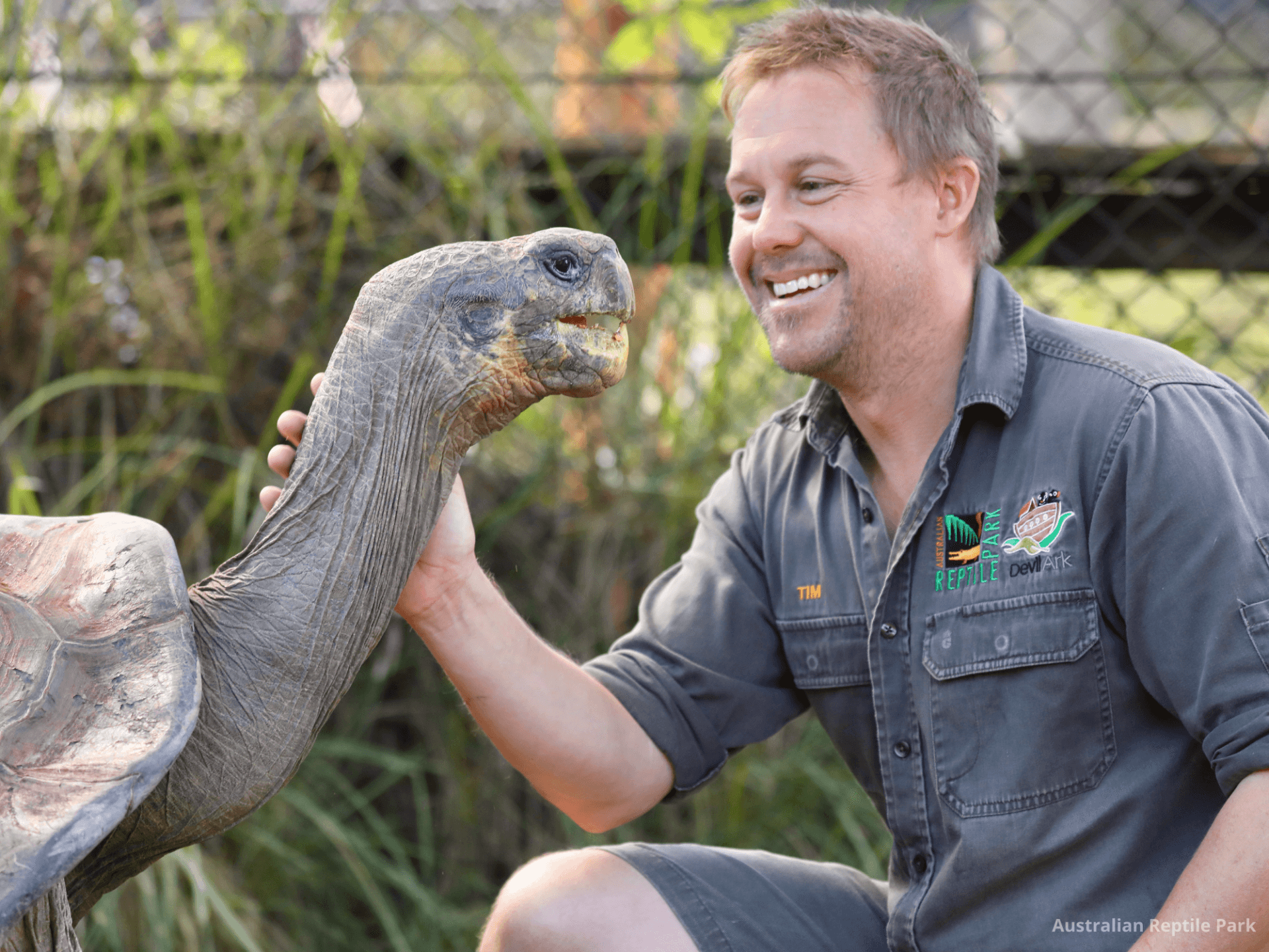 Australian Reptile Park - image 43