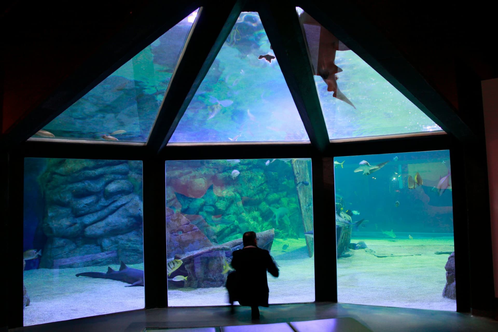 Seaquarium Le Grau-du-Roi Ticket - image 8
