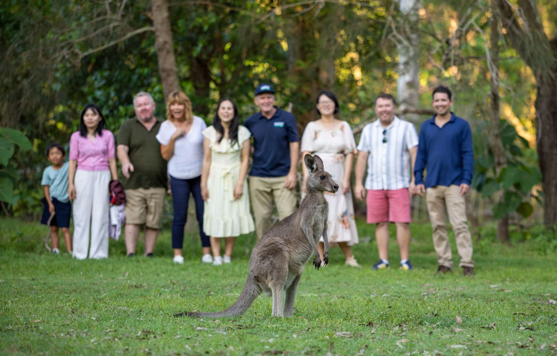 Gold Coast Full-Day Tour From Brisbane - image 2