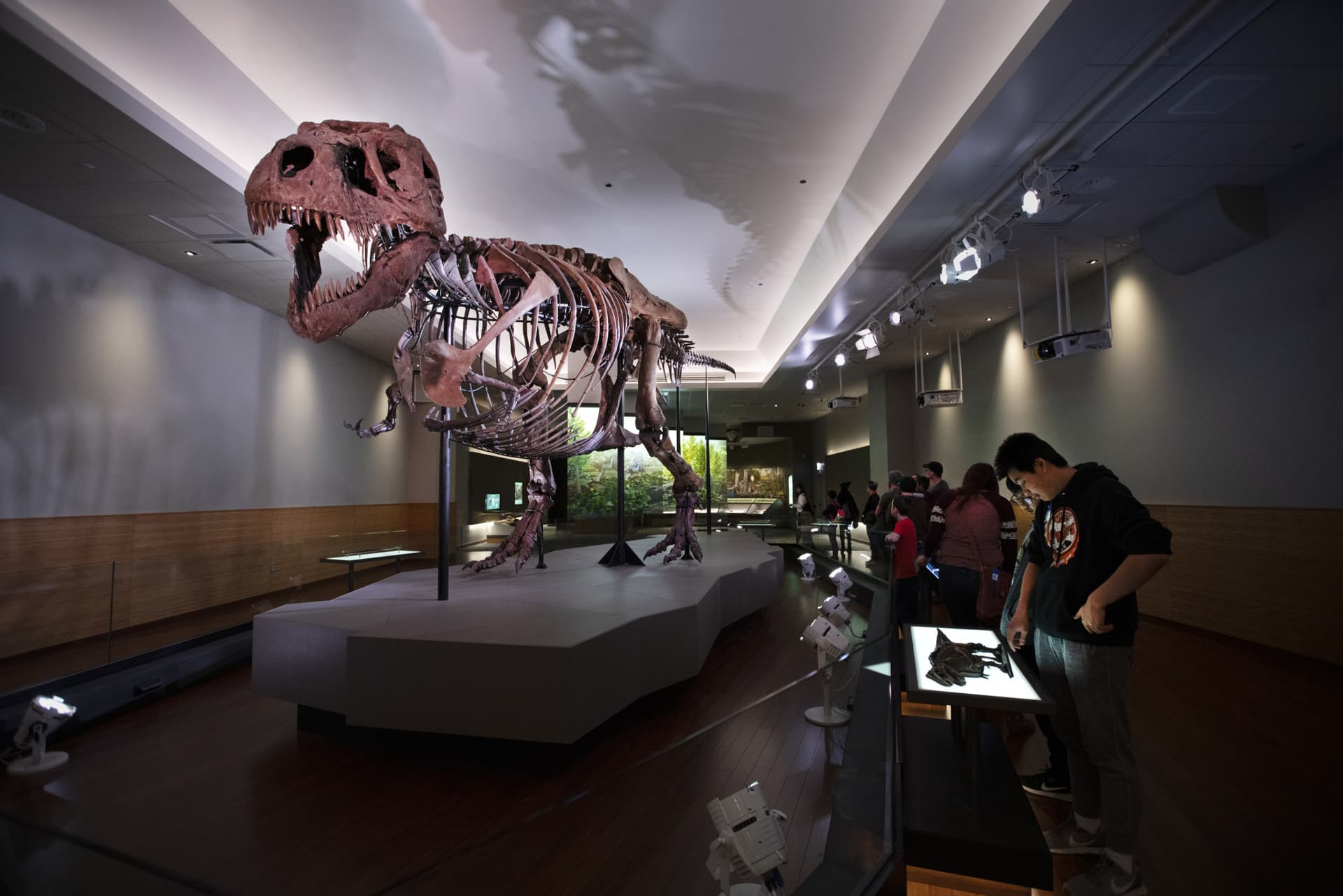 Go City Chicago Essentials Pass: 3 Attractions - image 13