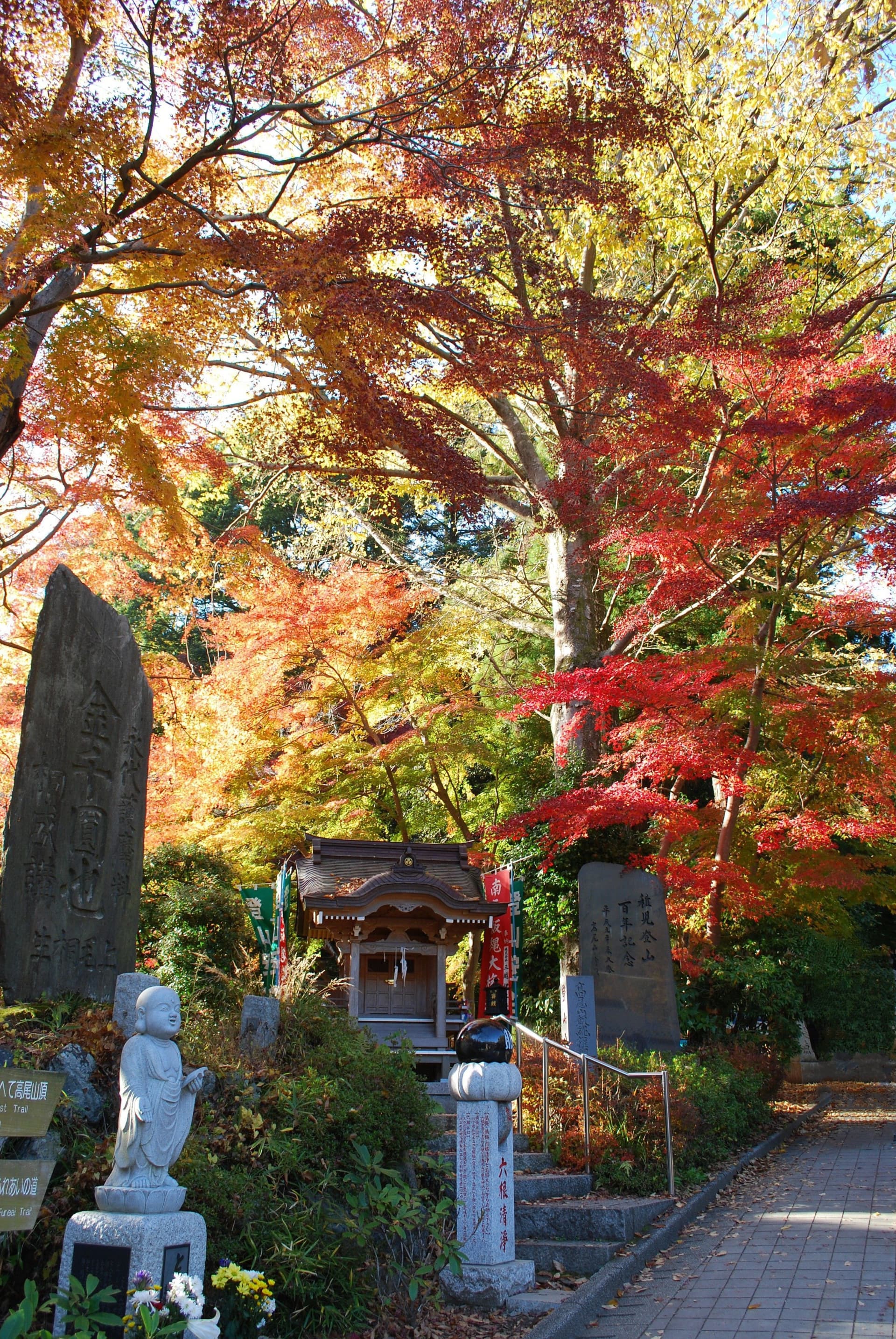 Greater Tokyo Pass - image 11
