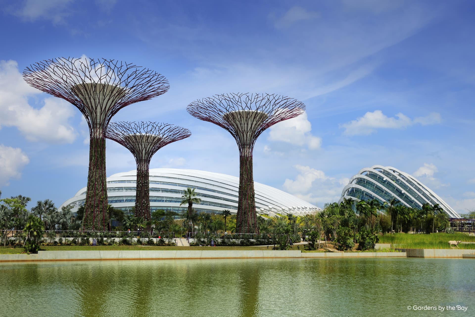 COMBO: Gardens by the Bay - Double Conservatories + Floral Fantasy Ticket - image 13