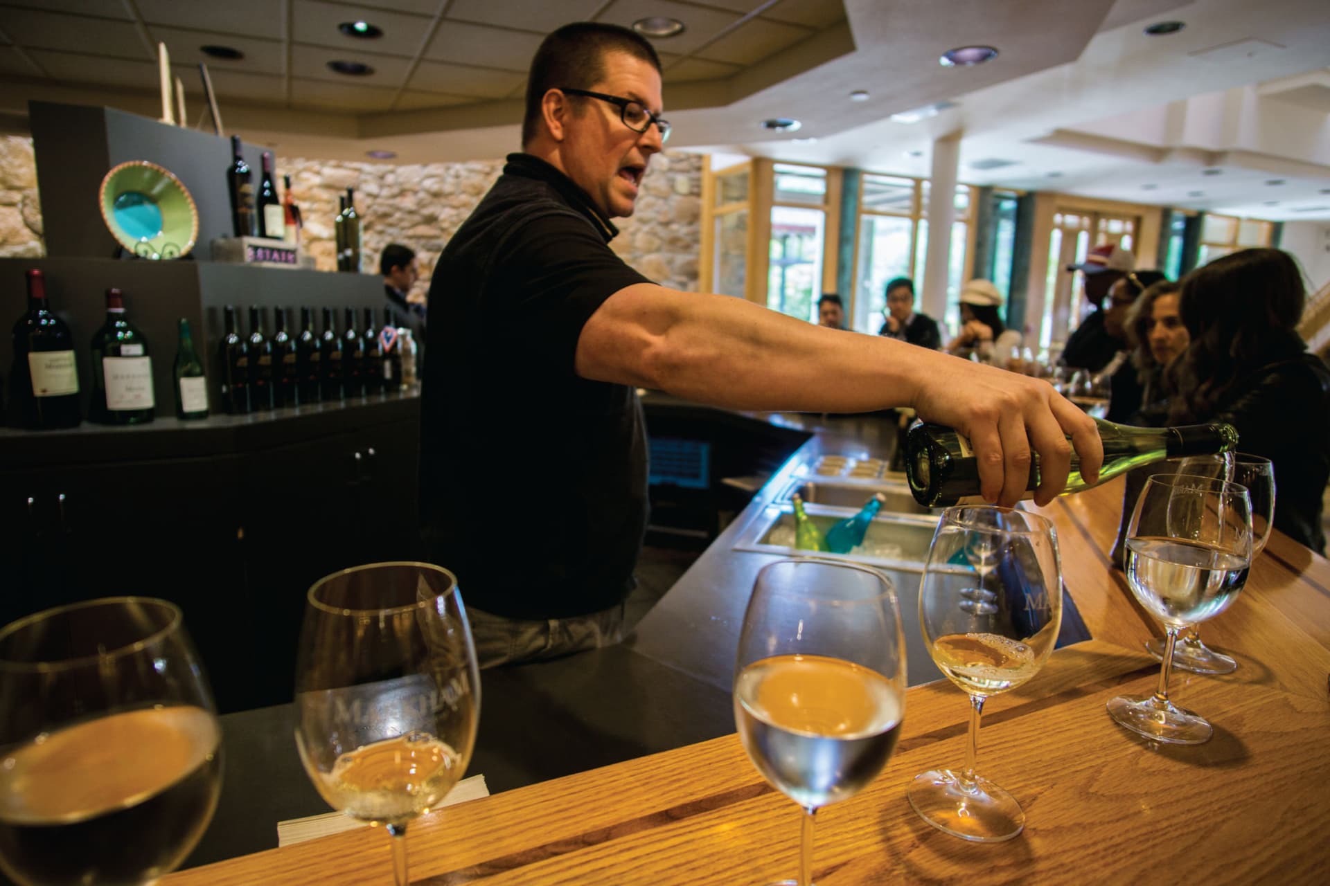 San Francisco Woods & Wine Country Full-Day Tour - image 9