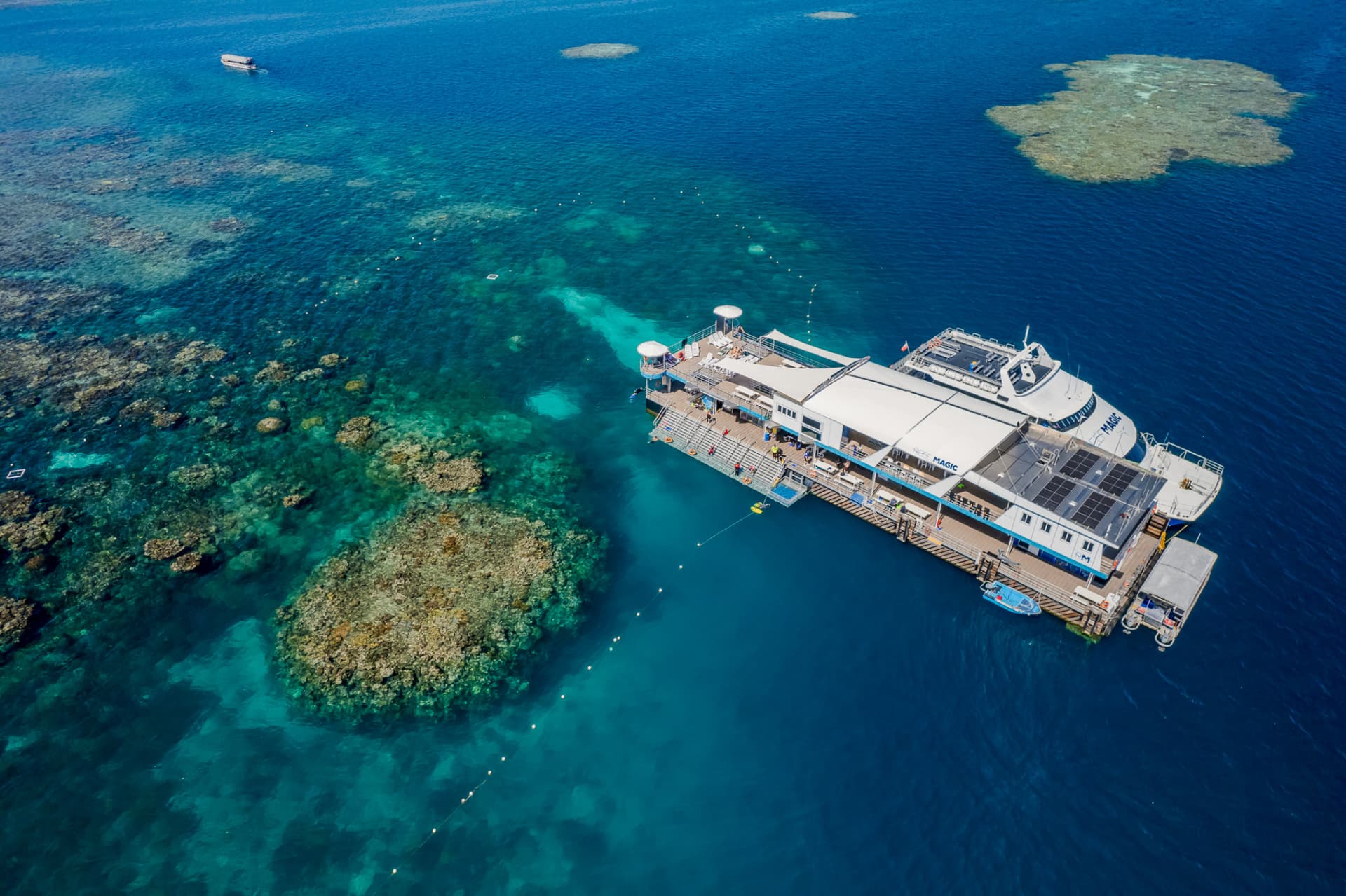 Reef Magic Pontoon Tour from Cairns - image 9