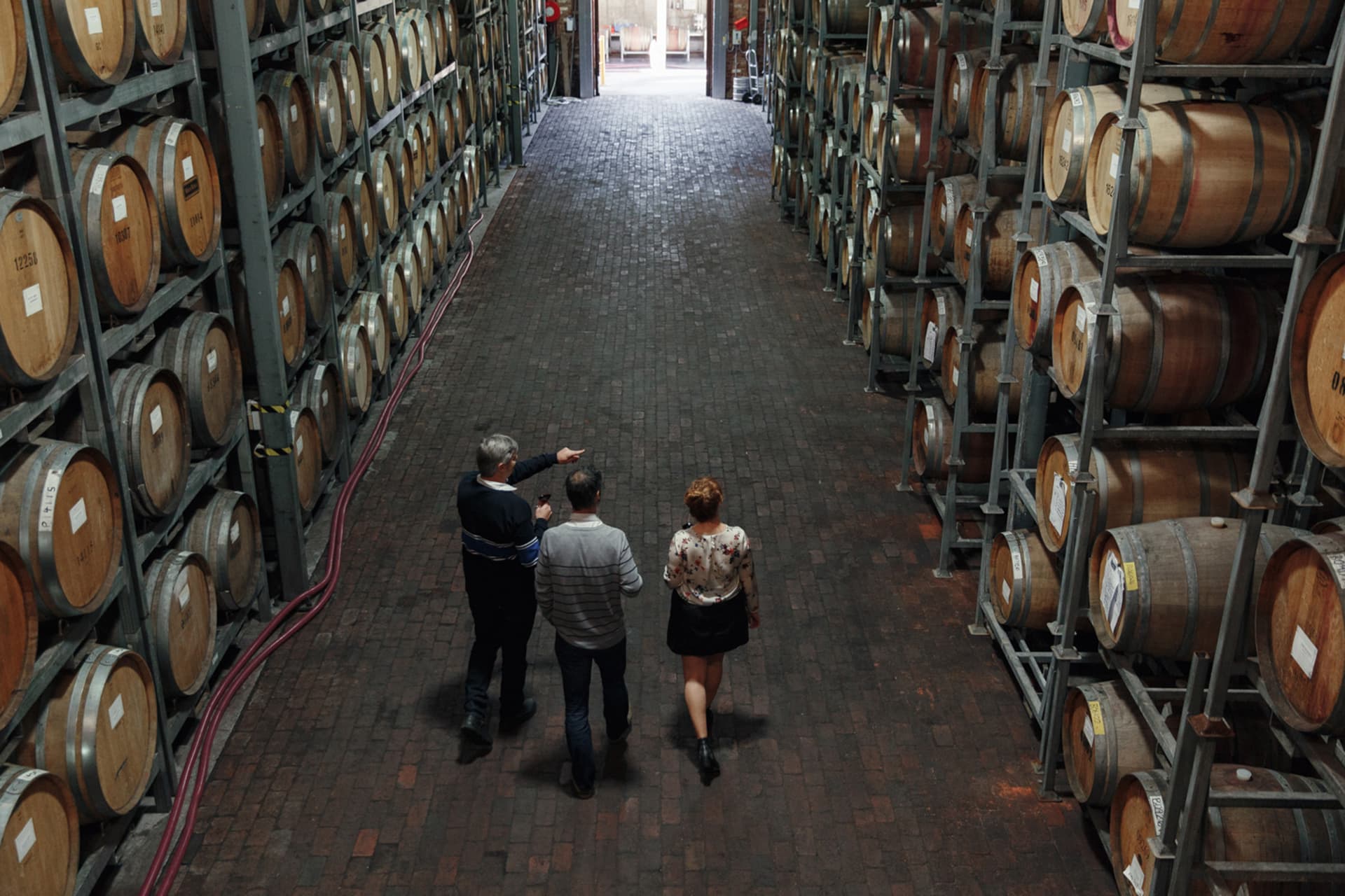 McLaren Vale and d’Arenberg Cube Wine Tasting Tour - image 3