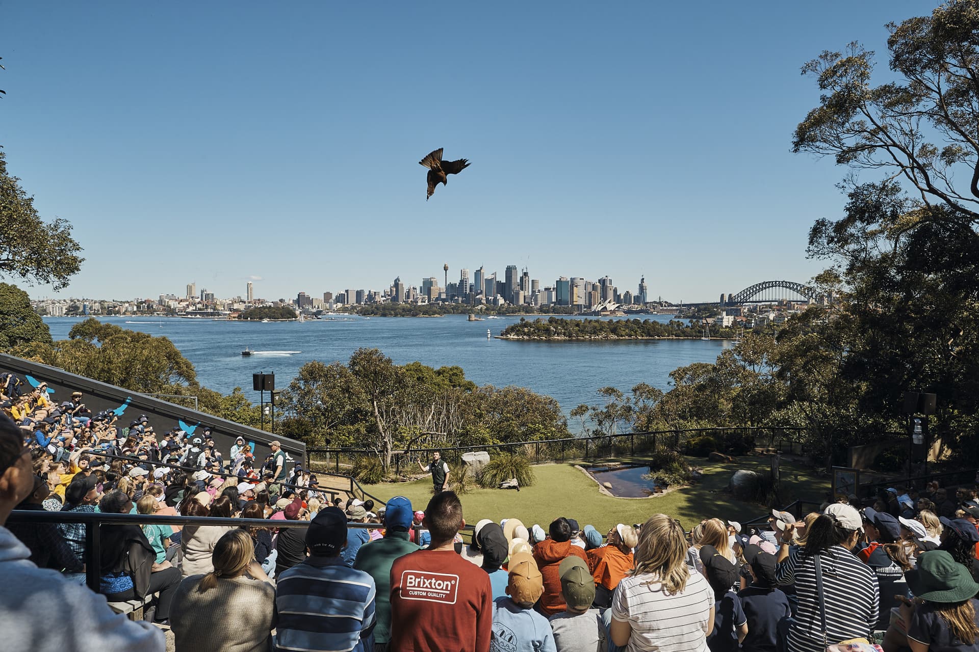 Go City Sydney Explorer Pass: Save up to 50% on Attractions - image 13