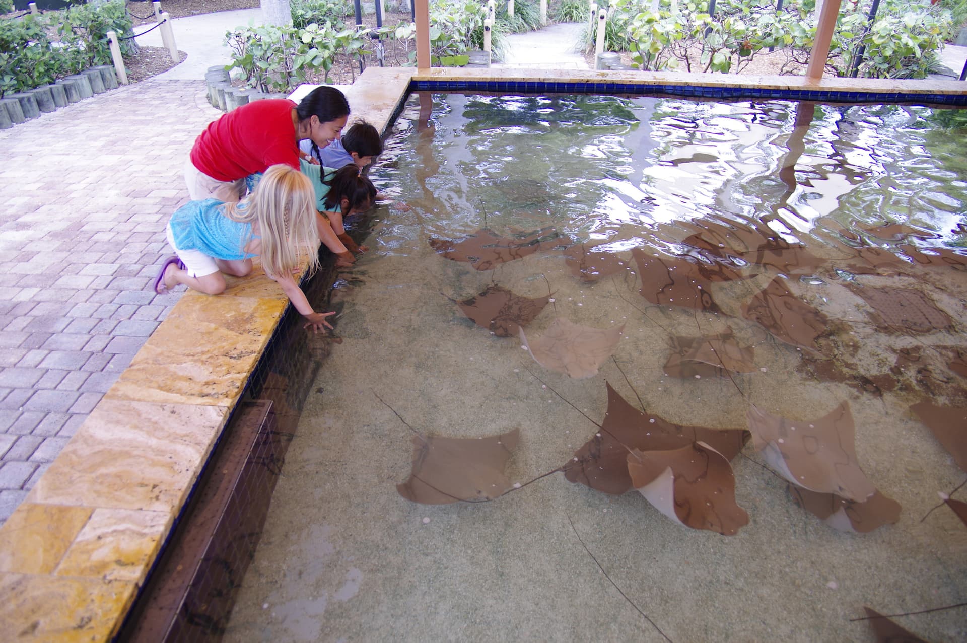 Go City Miami Explorer Pass: Save up to 50% on Attractions - image 25