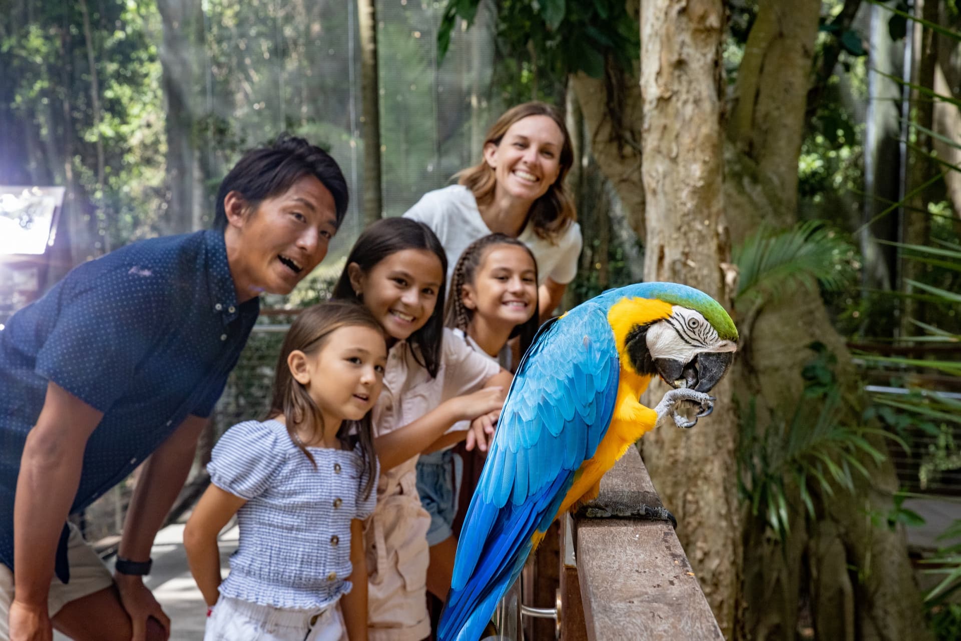 Currumbin Wildlife Sanctuary Gold Coast Ticket - image 12